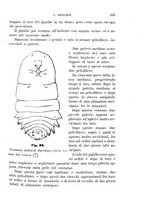giornale/UFI0011617/1895-1896/unico/00000171