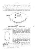 giornale/UFI0011617/1895-1896/unico/00000173