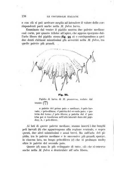 Rivista di patologia vegetale