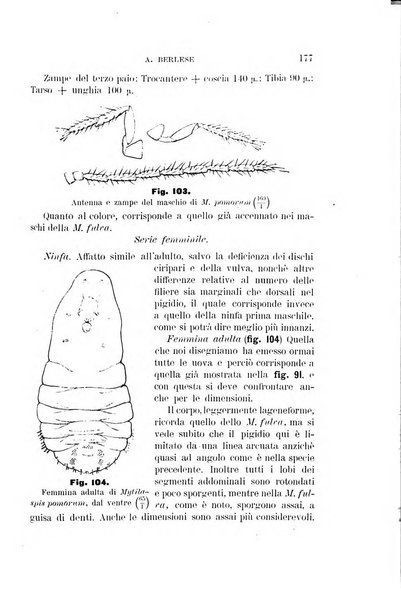 Rivista di patologia vegetale