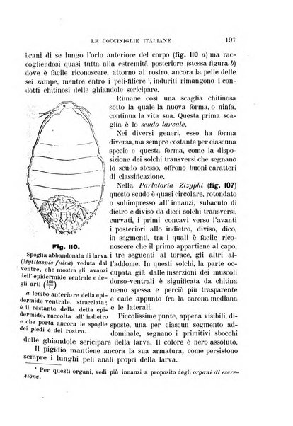 Rivista di patologia vegetale