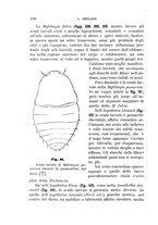 giornale/UFI0011617/1895-1896/unico/00000206