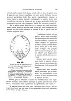 giornale/UFI0011617/1895-1896/unico/00000207