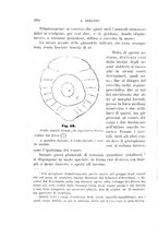 giornale/UFI0011617/1895-1896/unico/00000212