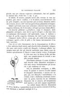 giornale/UFI0011617/1895-1896/unico/00000221