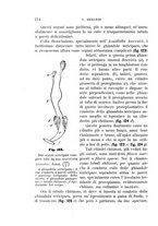 giornale/UFI0011617/1895-1896/unico/00000222