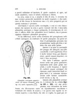 giornale/UFI0011617/1895-1896/unico/00000224