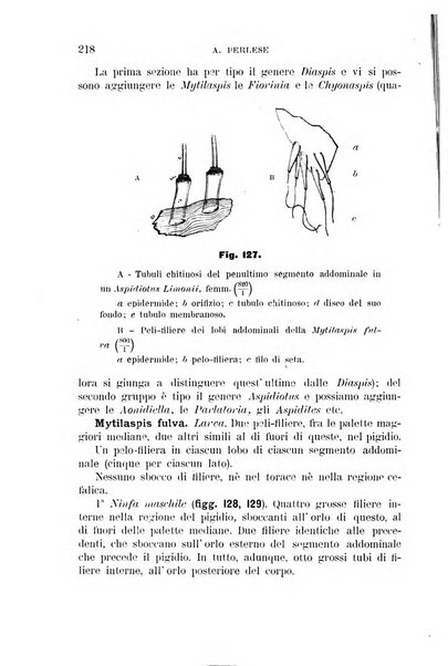 Rivista di patologia vegetale