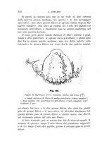 giornale/UFI0011617/1895-1896/unico/00000230