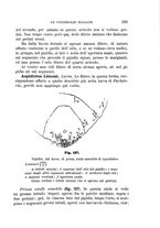 giornale/UFI0011617/1895-1896/unico/00000237