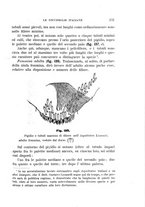 giornale/UFI0011617/1895-1896/unico/00000239