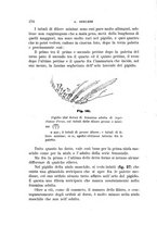 giornale/UFI0011617/1895-1896/unico/00000242