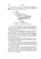 giornale/UFI0011617/1895-1896/unico/00000248