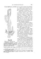 giornale/UFI0011617/1895-1896/unico/00000249