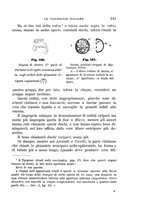 giornale/UFI0011617/1895-1896/unico/00000251