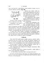 giornale/UFI0011617/1895-1896/unico/00000254