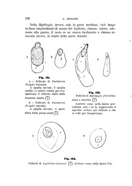 Rivista di patologia vegetale