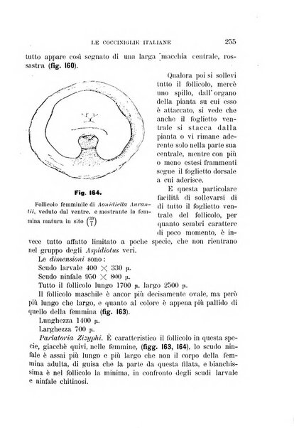 Rivista di patologia vegetale