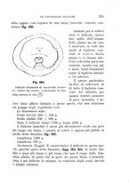 giornale/UFI0011617/1895-1896/unico/00000263