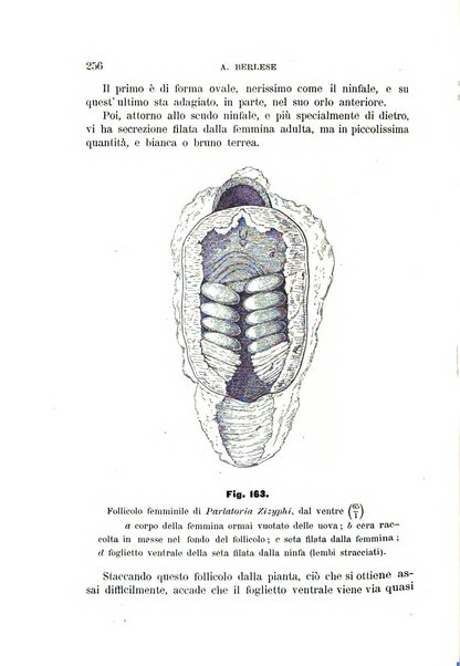 Rivista di patologia vegetale