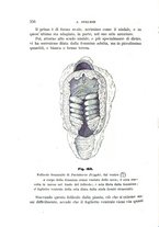 giornale/UFI0011617/1895-1896/unico/00000264