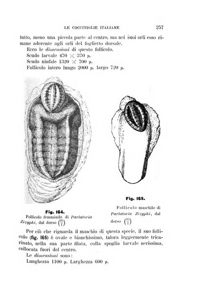 Rivista di patologia vegetale