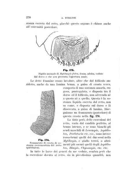 Rivista di patologia vegetale