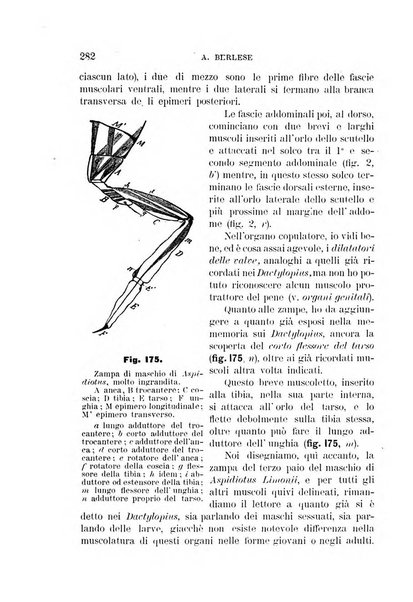 Rivista di patologia vegetale