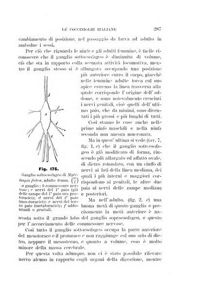 Rivista di patologia vegetale