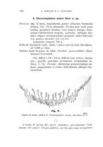 giornale/UFI0011617/1895-1896/unico/00000354