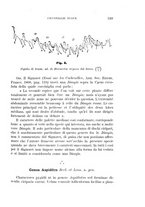 giornale/UFI0011617/1895-1896/unico/00000357