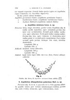 giornale/UFI0011617/1895-1896/unico/00000358