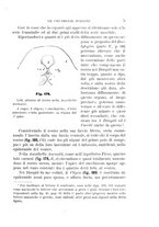 giornale/UFI0011617/1896-1897/unico/00000011