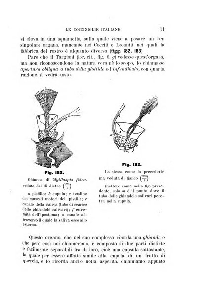 Rivista di patologia vegetale