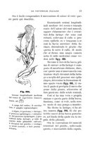 giornale/UFI0011617/1896-1897/unico/00000021