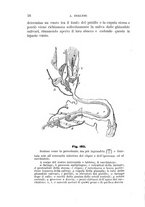 giornale/UFI0011617/1896-1897/unico/00000022