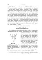 giornale/UFI0011617/1896-1897/unico/00000036