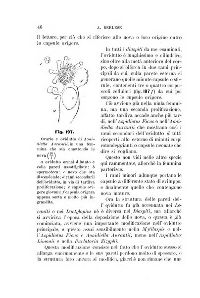 Rivista di patologia vegetale