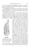 giornale/UFI0011617/1896-1897/unico/00000055