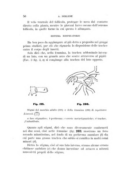 Rivista di patologia vegetale