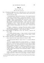 giornale/UFI0011617/1896-1897/unico/00000069