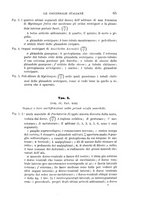 giornale/UFI0011617/1896-1897/unico/00000071