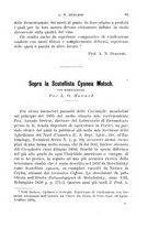 giornale/UFI0011617/1896-1897/unico/00000087