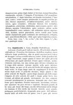 giornale/UFI0011617/1896-1897/unico/00000089