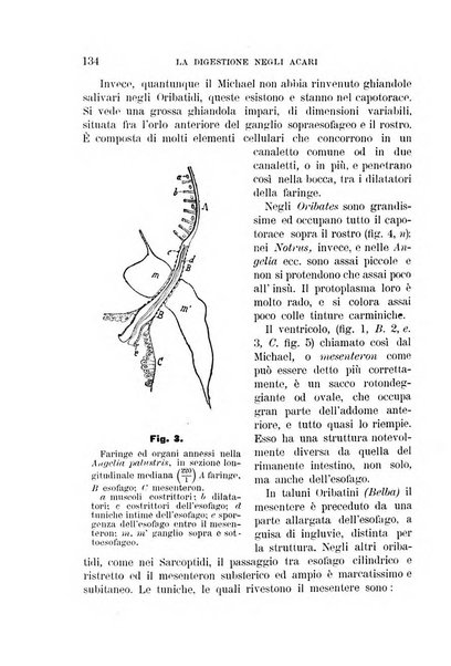 Rivista di patologia vegetale