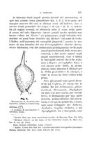 giornale/UFI0011617/1896-1897/unico/00000145