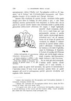 giornale/UFI0011617/1896-1897/unico/00000146