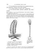 giornale/UFI0011617/1896-1897/unico/00000150