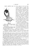 giornale/UFI0011617/1896-1897/unico/00000151