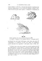 giornale/UFI0011617/1896-1897/unico/00000152